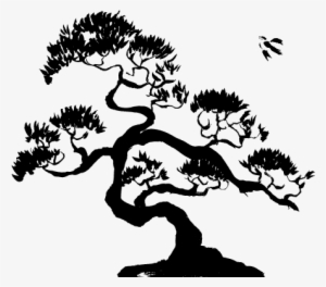 71e63a85e64fc2b1d0f0 Bonsai Tree Silhouette Png Transparent Png 707x440 Free Download On Nicepng