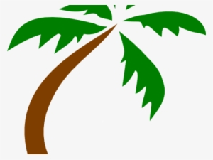 Palm Tree Vector Art - Green Palm Trees Transparent Background