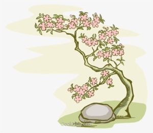 Bonsai Tree With Stone Royalty Free Vector Clip Art - Cherry Blossom Tree Clip Art