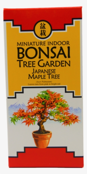 Bonsai Tree Garden Diy Grow Kit With Japanese Maple - Gardening