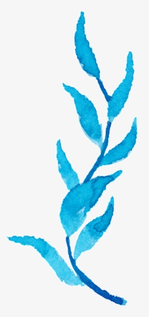 Blue Water Grass Watercolor Hand-painted Flower Decoration - Watercolor Painting