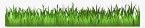 Grass Meadow Green Agriculture Grass Grass - Transparent Background Grass Clipart