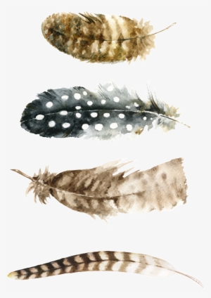 File Shared From Box - Free Printable Wall Art Feathers