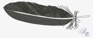 Fur Vector Raven Feather Vector Royalty Free - Raven Feather