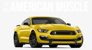 2018 Ford Mustang Near Fergus Falls Mn - 2018 Ford Mustang Shelby Gt350r