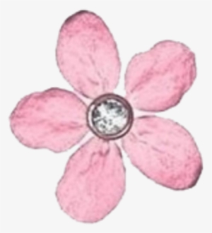 Transparent Overlay Pink Flower
