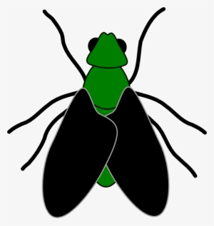 Green Fly Black Clip Art At Clker - Clip Art Of Fly