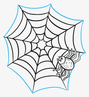 How To Draw Spider Web With Spider - Spider Web Transparent PNG - 678x600 -  Free Download on NicePNG
