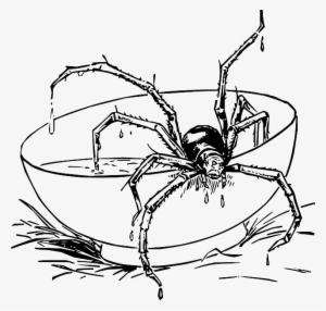 Drawing, Cartoon, Spider, Web, Dot, Draw, Com, Fun - Scary Spider Coloring Page