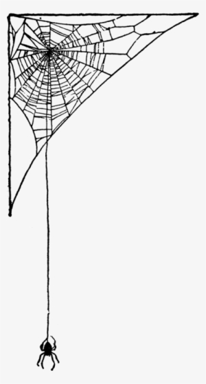 Spider Web Art Pretty Png Spider Web Png Art Pretty - Spider Web Corner Clipart