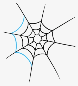 How To Draw Spider Web With Spider - Spider Web