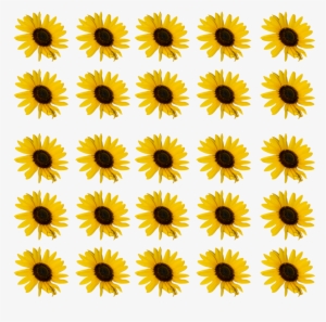 Sunflower Flower Free Png Transparent Images Free Download - Vector Graphics