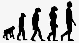 Evolution Walking Charles Darwin Science M - Theory Of Evolution Png