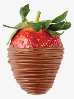 12 X Milk Chocolate Dipped Strawberry, 4 Hour Delivery* - Chocolate