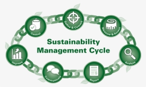This “supplier Continuous Improvement” Section Of The - Sustainable Supplier