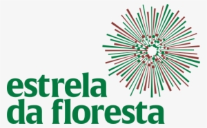 About - Projects - Estrela Da Floresta Angola