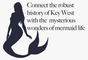 Key West Mermaids - Classic Papers In Control Theory By Bellman / Kalaba