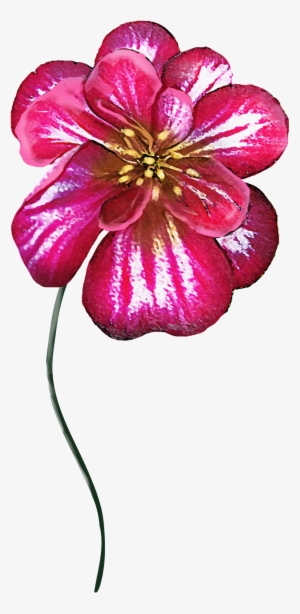 Un Brillante Flor De Colores Png Transparente - Portable Network Graphics