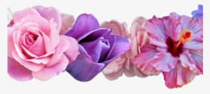 Best Wild Flowers » Pink Flower Crown Transparent - Transparent Background Floral Crown Png