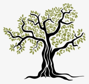 Old Olive Tree Wall Sticker - Record & Grade Book Teacher Created Resources: