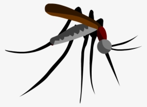Parasitism Drawing Mosquito Clipart Black And White - Mosquito Cutout
