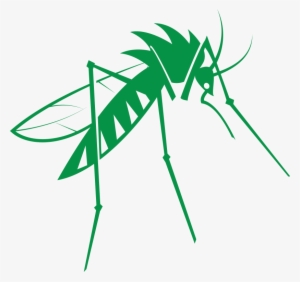 Mosquito - Mosquitoes Png