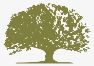 Download Olive Logo - لوگوی مدرسه