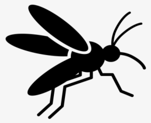 Climate Change And Mosquito-borne Diseases - Mosquito