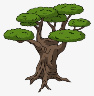 Pruned Olive Tree - Illustration