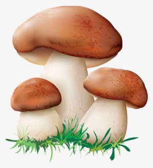 Clip Art Royalty Free Stock Png Pinterest Clip Art - Mushroom Clipart