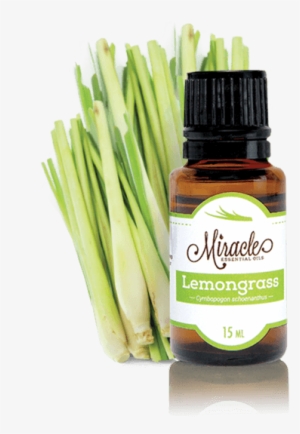 Store Lemongrass Miracle Essential Oils - Essential Oil
