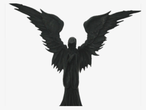 Angel Of Death Bird