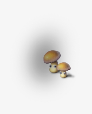 Home - Mushrooms - Shiitake