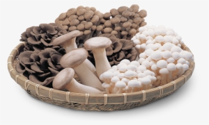 Japanese Mushrooms - Vegetables Mushrooms
