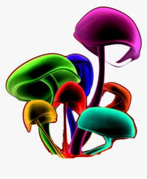 Magic Mushrooms - Transparent Magic Mushroom
