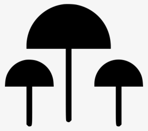 Mushrooms Comments - Mushroom