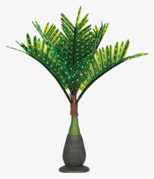 Lit Palm Trees - Bottle Palm Tree Png