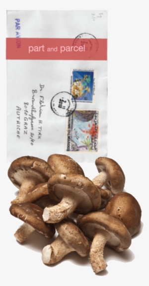 Mushrooms - Shiitake Mushroom