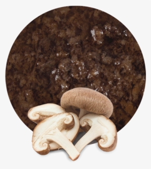 We Only Work With The Best Raw Materials So We Select - Fresh Mushroom
