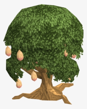 Image Mango Fairy Tale Png Runescape Wiki - Mango Tree