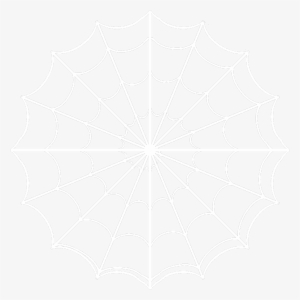 Cobwebs Transparent Spider Net - White Web Black Background