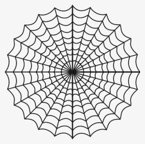 Spiderweb, Spider's Web, Web, Spider, Black