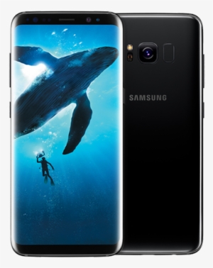 Image Of A Samsung Galaxy S8 - Samsung S8 Plus Price In India