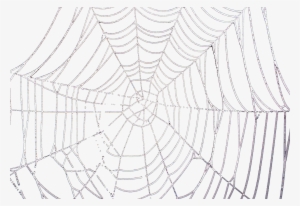 Drawn Spider Web Transparent Tumblr