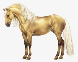 aureola [83 - 35] - horse