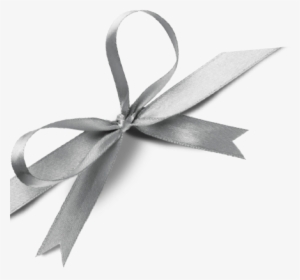 Holiday Gift Guide - Silver Gift Ribbon Png