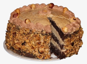 Chocolate Hazelnut Cake - Chocolate