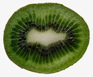 Green Cutted Kiwi Png Image - Kiwi Fruit Cross Section