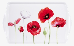 89626 Mediumtray Australianwarmemorial Poppies P Ashdene - Cork Backed Placemats With Holder