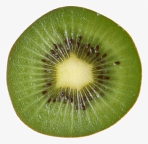 Kiwi Slice Png Download - Kiwi